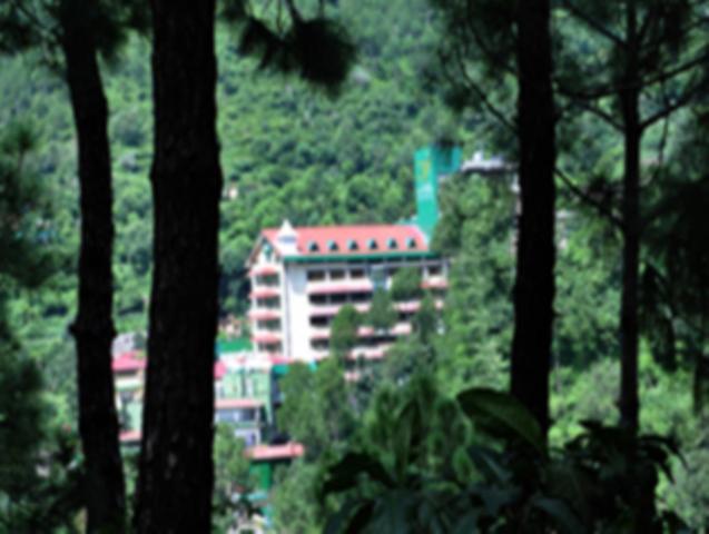 皇家方舟号酒店 Dharampur  外观 照片